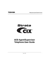 Toshiba CIX-SG-CCACD-VB Manual De Usuario