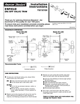 American Standard T37370X Manuale Utente