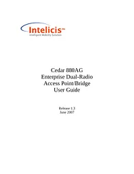 Intelicis Corporation CEDAR880AG User Manual