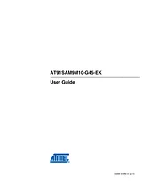 Atmel Evaluation Kit AT91SAM9M10-G45-EK AT91SAM9M10-G45-EK 数据表