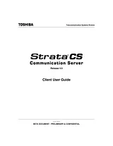 Toshiba Strata CS Manual De Usuario