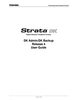 Toshiba DK Backup Manuale Utente