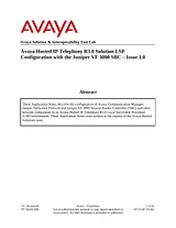 Avaya VF 3000 Benutzerhandbuch
