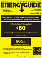GE CYE22USH-SS Energy Guide