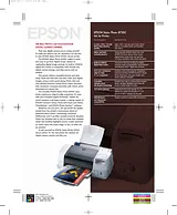 Epson 875DC Leaflet