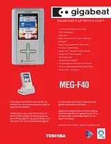 Toshiba MEG-F40 Specification Guide