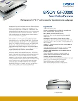 Epson GT-30000 B12B807343 Merkblatt