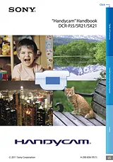 Sony SX21 User Manual