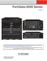 Fortinet FortiGate-5000 Manual De Usuario