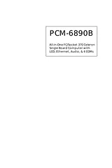 IBM PCM-6890B Manuale Utente