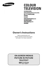 Samsung sp-43q1 Guía Del Usuario