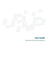 BlackBerry Global 8830 Справочник Пользователя