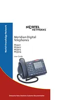 Nortel Networks meridian m3902 사용자 설명서