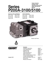 Giant P200A-5100 Manuale Utente