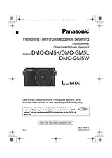 Panasonic DMCGM5EC Guida Al Funzionamento