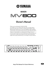 Yamaha MV800 사용자 설명서