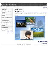 Sony DSC-H300 Справочник Пользователя