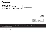 Pioneer P1-K Data Sheet