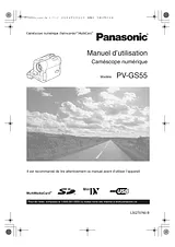 Panasonic PV-GS55 Руководство По Работе