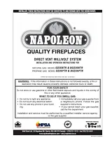Napoleon Fireplaces GD36PTR Manuale Utente