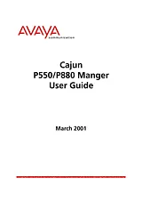 Avaya P550 User Manual