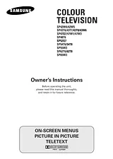 Samsung sp-43q1 Guía Del Usuario