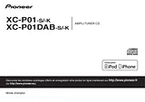 Pioneer P1-K Datenbogen