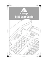 AASTRA 9116 Справочник Пользователя