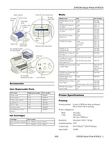 Epson 875DCS Guide De Spécification