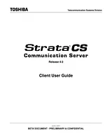 Toshiba Strata CS Manual De Usuario