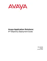 Avaya 555-245-600 用户手册