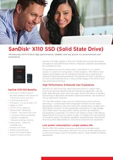 Sandisk X110 SD6SF1M-256G-1022I Folheto