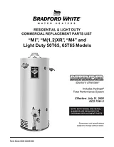 Bradford-White Corp 65T65 Manual De Usuario