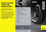 Jabra BT5020 100-95020000-60 产品宣传页